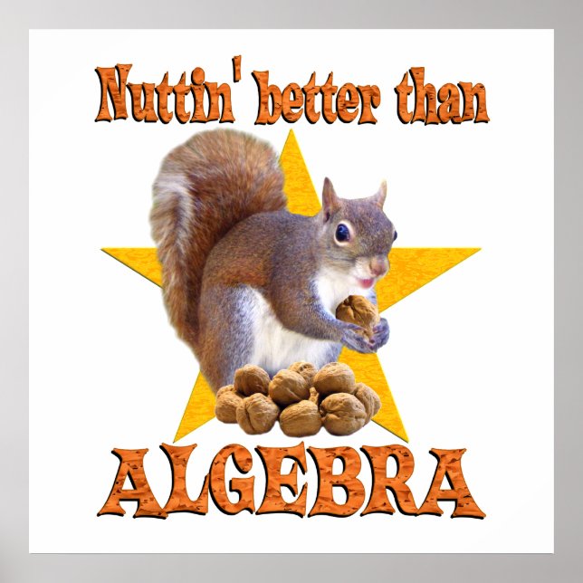 Poster Esquilo de álgebra (Frente)