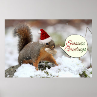 Poster Esquilo do Natal em neve