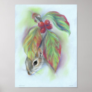 Póster Esquilo nas folhas do Dogwood do outono