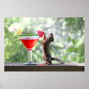 Póster Esquilo que bebe um cocktail no happy hour
