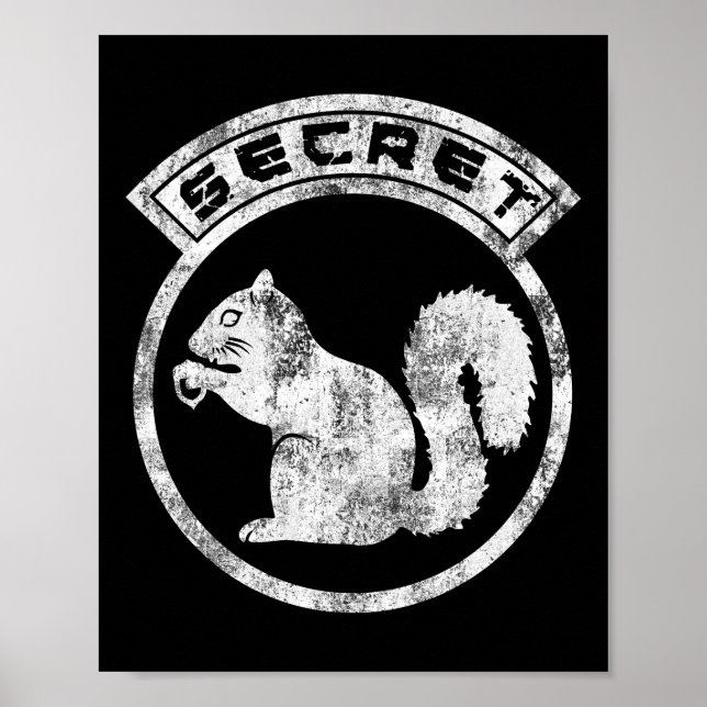 Poster Esquilo Secreto - Vestido - Tipo 2 (Frente)