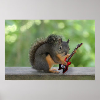 Póster Esquilo tocando violão elétrico