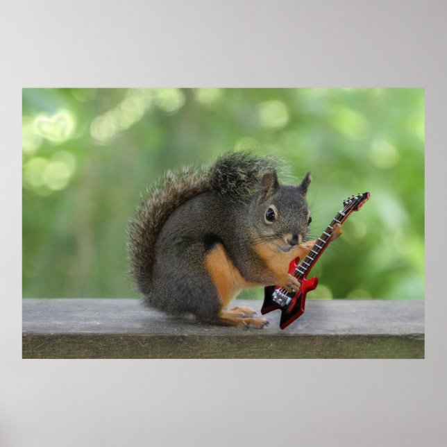 Póster Esquilo tocando violão elétrico (Frente)