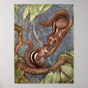 Póster Esquilos-listrados por Louis Sargent, Animais Selv