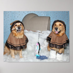 Poster Esquimós do golden retriever