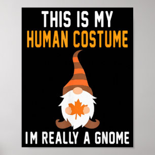 Poster Esse É Meu Disfarce Humano Na Verdade Sou Um Gnomo