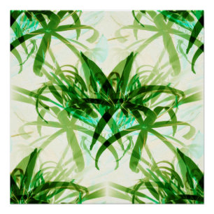 Póster Esse olhar de bambu…