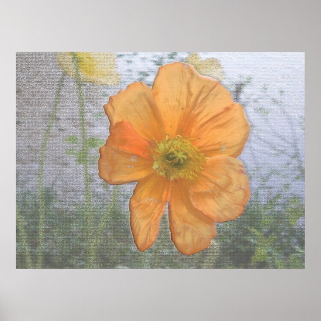 Póster Essência Laranja (Frente)