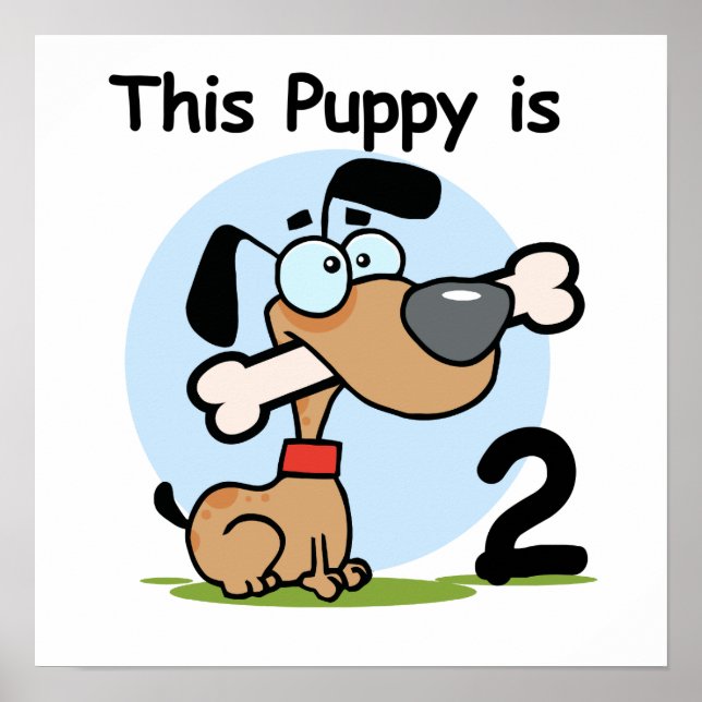 Poster Esta camiseta e presentes de segundo aniversário (Frente)