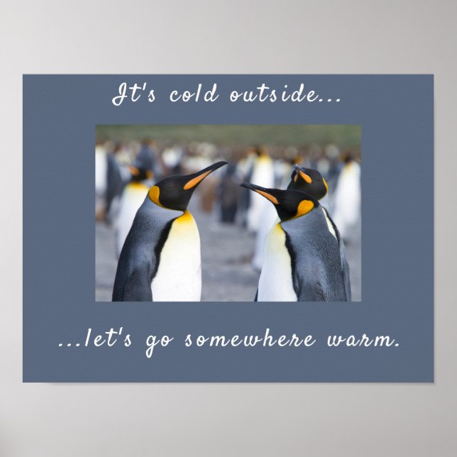 Poster Está frio fora da foto do Rei Pinguin com texto (Frente)