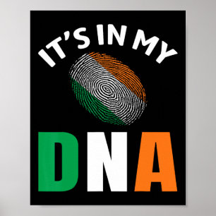 Poster Está No Meu Dna Irlanda Bandeira Irlandesa Present
