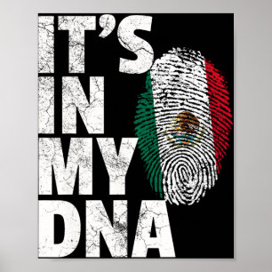 Poster Está No Meu Dna Mexicano Bandeira Do México Cinco