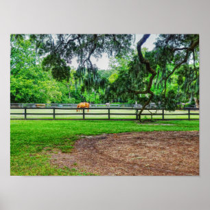 Poster estábulos do Boone Hall