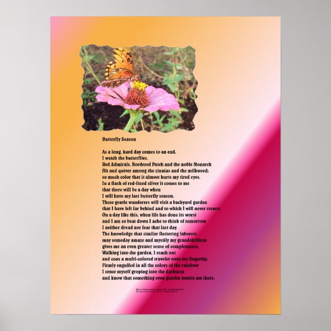 Poster Estação Butterfly - Deserto (Frente)