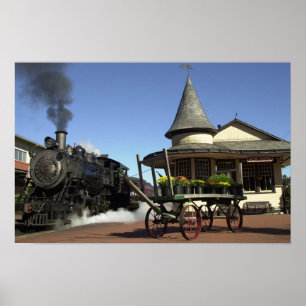 Poster Estação de Comboio New Hope