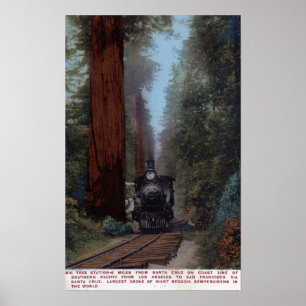 Póster Estação de estrada de ferro grande da árvore