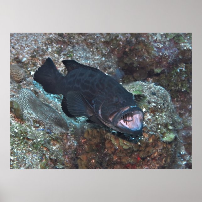 Poster Estação de limpeza (Frente)