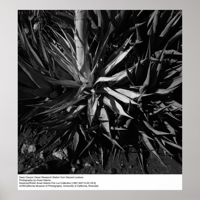 Póster Estação de Pesquisa do Deserto do Canyon de Ansel  (Frente)