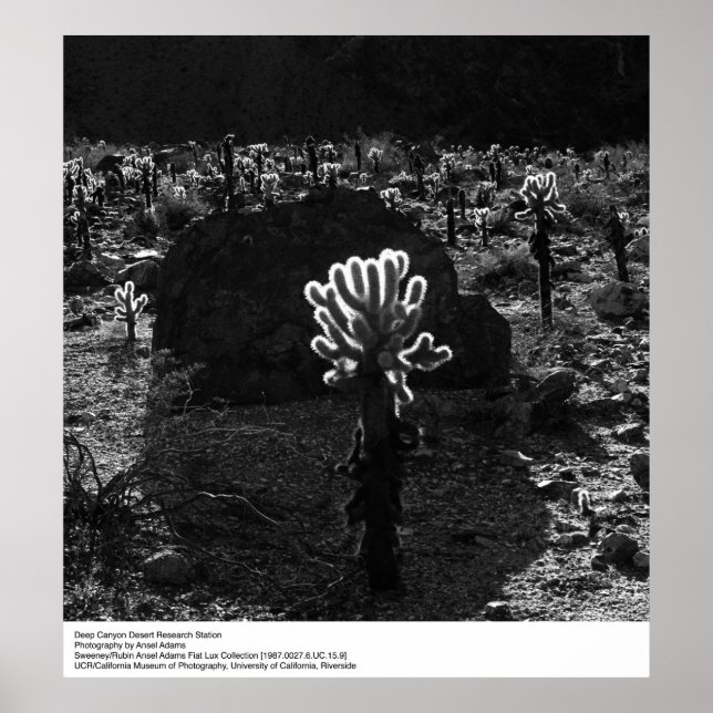 Póster Estação de Pesquisa do Deserto do Canyon de Ansel  (Frente)