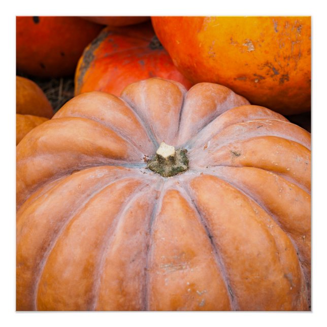 Póster Estação Pumpkin (Frente)