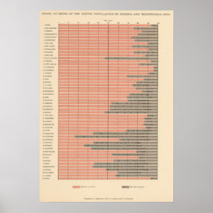 Poster Estado 48 do nascimento 1900