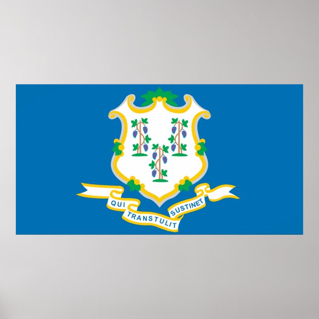Póster Estado de bandeira de Connecticut (Frente)