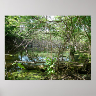 Poster Estado de Confusão