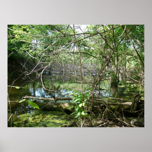 Poster Estado de Confusão (Frente)