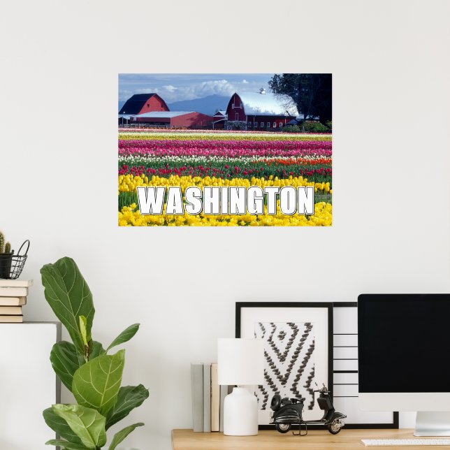 Poster Estado de Washington | Campo de Tulipas (Escritório em casa)