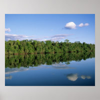 Estado do Mato Grosso, Amazônia, Brasil. Florestad