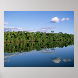 Poster Estado do Mato Grosso, Amazônia, Brasil. Florestad