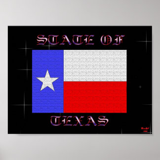 Póster Estado Do Texas