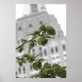 Poster Estado Império em Nova York