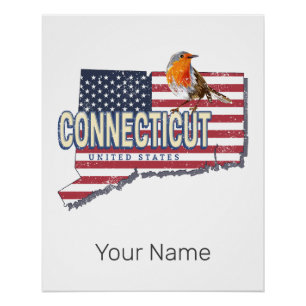 Póster Estado unido do Connecticut mapeamento de estado r