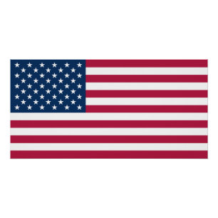 Póster Estados Unidos da América Bandeira EUA Patriótico