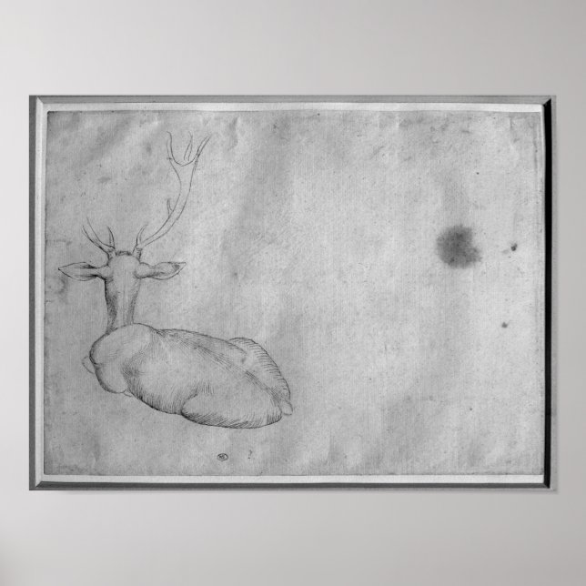 Póster Estag de repouso (Frente)