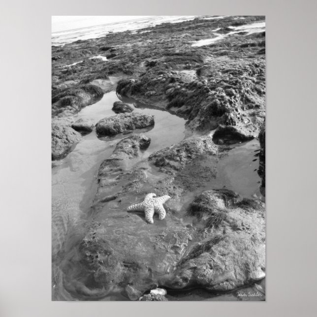 Poster Estaleiro (Frente)