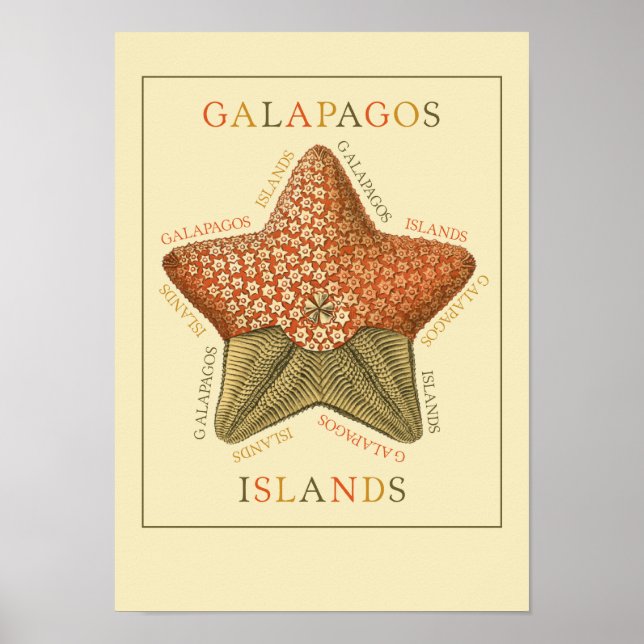 Póster Estaleiro das Ilhas Galápagos (Frente)