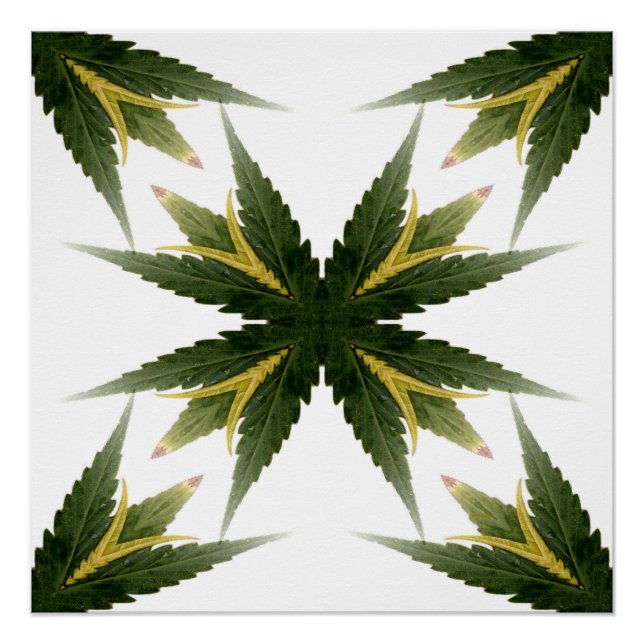 Póster Estar Orgulhoso. (Frente)