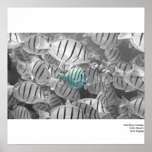 Poster Estar para fora da multidão