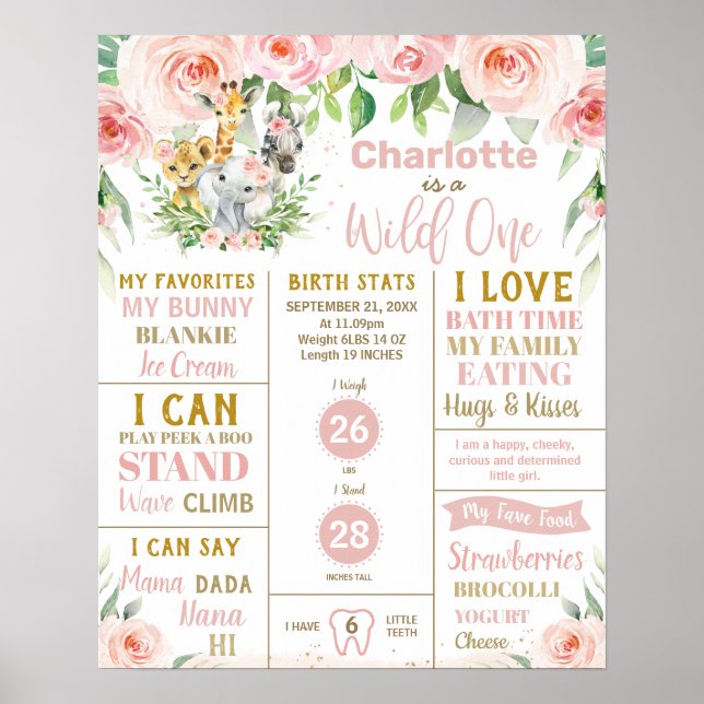 Poster Estatísticas de 1º Aniversário dos Animais da Selv (Frente)