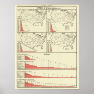 Póster estatísticas especiais da escola