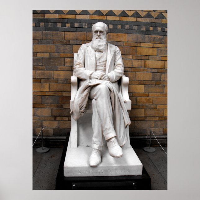 Póster Estátua de Charles Darwin (Frente)
