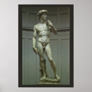 Poster Estátua de David por Michelangelo