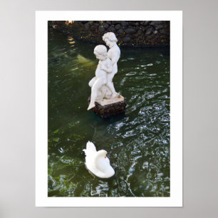 Poster Estátua e cisne na Madeira