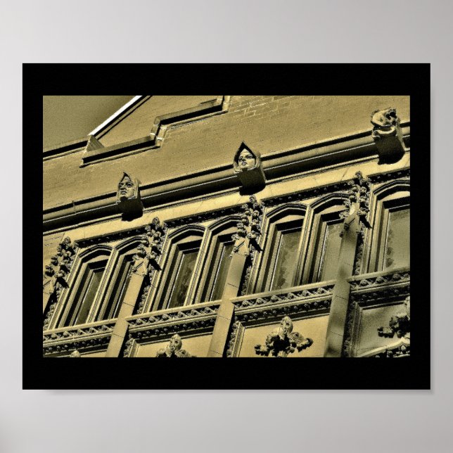 Póster Estatutos de proteção (Frente)