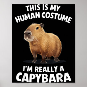 Poster Este é o meu disfarce de Humano Na verdade sou uma