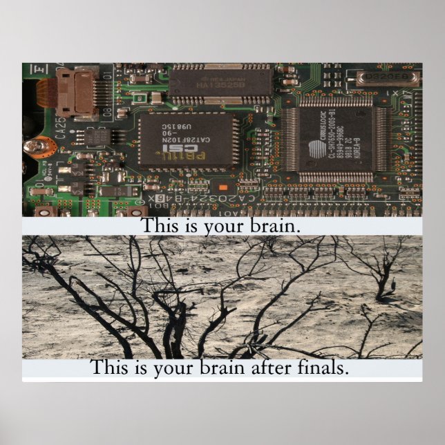 Póster Este é o seu cérebro. (Frente)