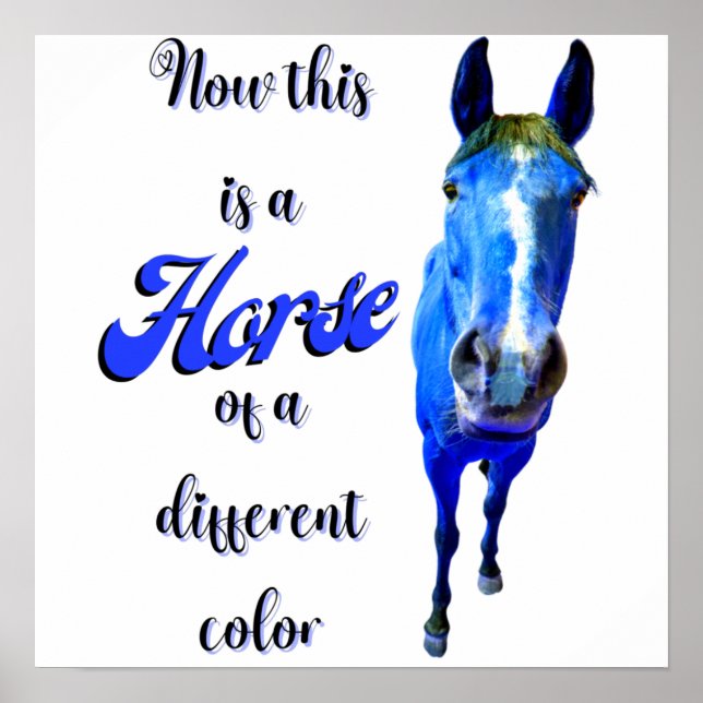Poster Este É Um Cavalo De Cor Diferente Em Azul (Frente)