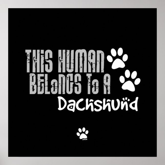 Poster Este Humano Pertence a um Dachshund (Frente)